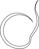 Logo draft 2