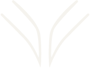 Logo variation 5 on black background