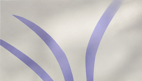 Graphic element 3